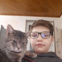 RobinBrichad
