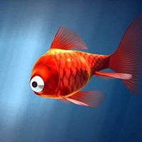 🐟poissonmagique🐟