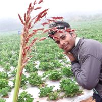 SathishMadaka
