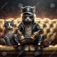 🐯❤️‍🔥😺貓貓318😻💝🐯