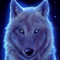 LobitoAlex🐺RTX🌟