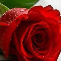 ️꧁️❤️AYSEGÜL❤️꧂