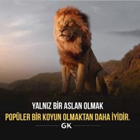 UĞURSUSKUNKRAL58