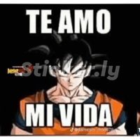 TotoiSon