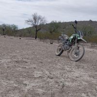 JoséCha_star33