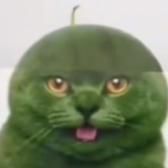AlaiahOrtega