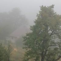 ljepota
