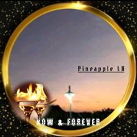 Pineapple_LHᴺᴼᵂ