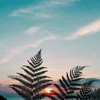 esmeraldaa123