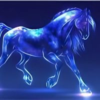 🐎⚡🌪️𝓟𝓐𝓡𝓘𝓟𝓐🔥⚡🐎