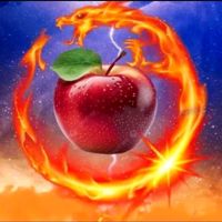 🧚༄༂✨VIỆTHÀ💥🍎༂࿐