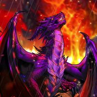 BlackDragon1182