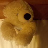Duda_mello13