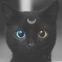 LittleTwig