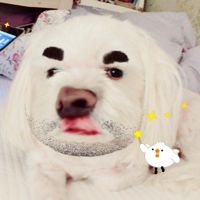 𝒃𝒍𝒖𝒆🏝뿌앵