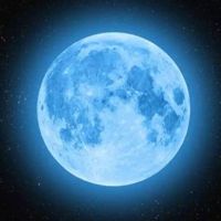 淡月✰