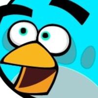 Enzo_The_Star