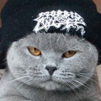 🐈‍⬛Thęcàt🐈‍⬛