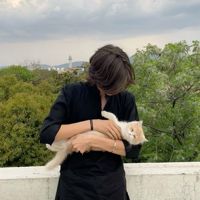 ㅤZㅤEㅤEㅤㅤ