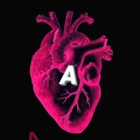 Asalikoo_lv