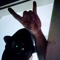 🐈‍⬛HighGradeMetal🤟🤘🫰