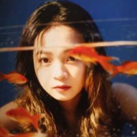 🍎Nghswiftlet_mvkd🍎🐬🕊️