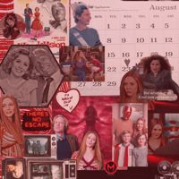 amyg801