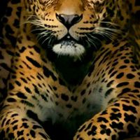 🌟نبيل🌟سالم♚®‬‬‏