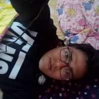 62086533294