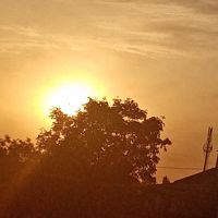 Risingstar45760385