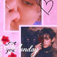 MrsKimsowmiV🐼💍🐯♾️🫂💖