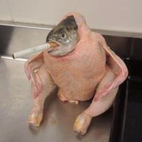 M43😹MrJokerX🐓🐟🚬