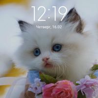 КритинаСкобкорева