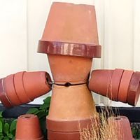 キツネザル