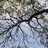 Tanya_73682_Mit