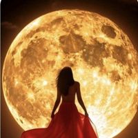 •○DesertMoon○•