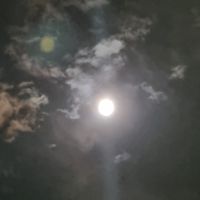 원원콜릿876