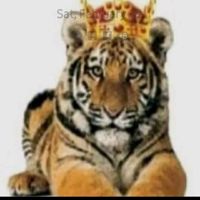 🔥💜CHOSEN👑QUEEN💜🔥