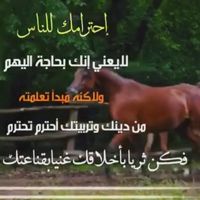 ضر--غام