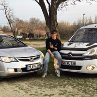 PİTBULL