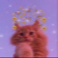 ᥫ᭡°❝𝒔𝒉𝒆𝒆𝒔𝒉☁️🐼❞✧