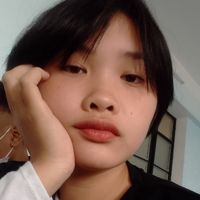 SuBăngTuyết2006