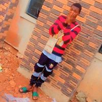 Sylvest_star84292048