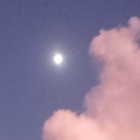 ᖫ✧кђรгรᖫ✧