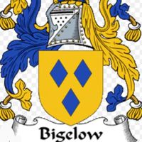 DarinBigelow