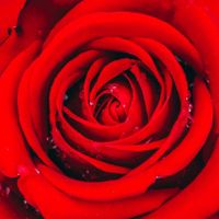 zbeautifulspirit