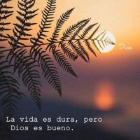Maynoraguilar.37_