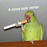 OT_AMAN_OJleneu_ykp9