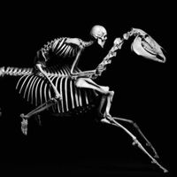 horsecharmer