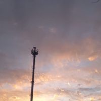 송련주5714